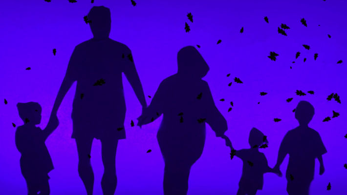 Colours of Life (2019)
